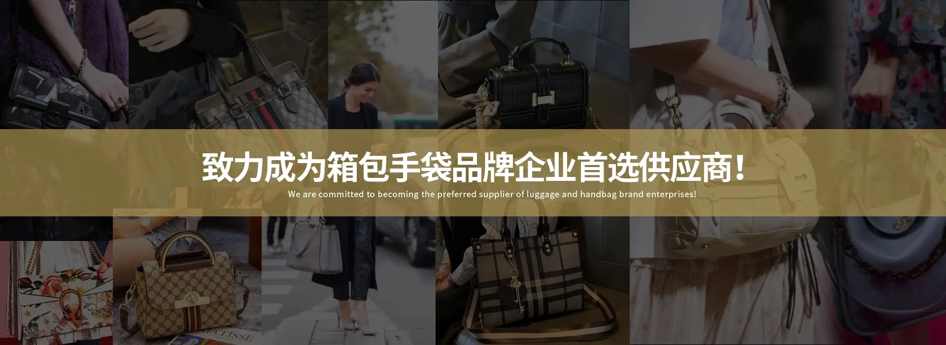 We are committed to becoming the preferred supplier of luggage and handbag brand enterprises